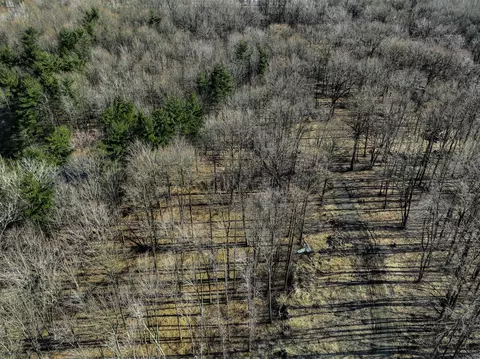 0 Youngren Rd, Harbert, MI 49115 photo 34