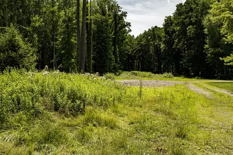 0 Youngren Rd, Harbert, MI 49115 photo 5