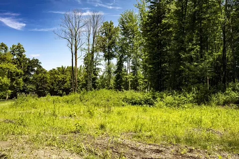 0 Youngren Rd, Harbert, MI 49115 photo 11