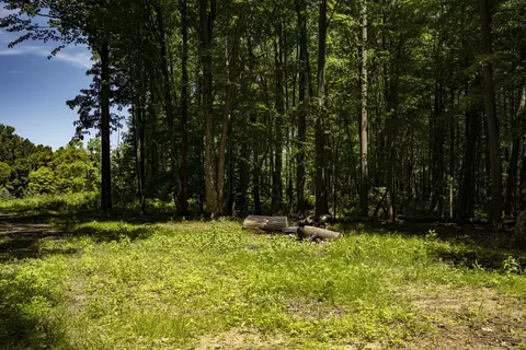 0 Youngren Rd, Harbert, MI 49115 photo 9