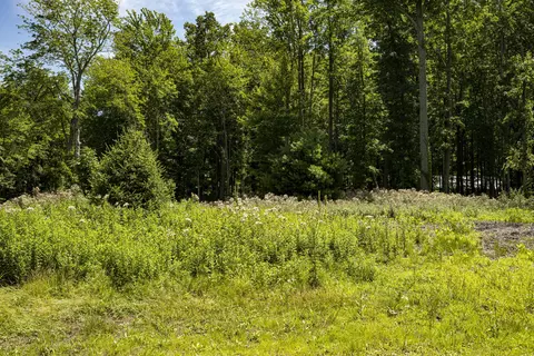 0 Youngren Rd, Harbert, MI 49115 photo 10