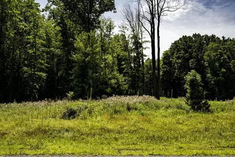 0 Youngren Rd, Harbert, MI 49115 photo 12