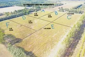 w shelby rd, Shelby, MI 49455