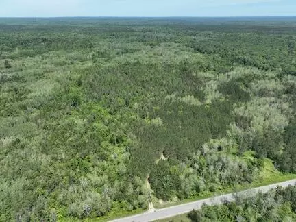 00 Vl 13 Mile Rd #PAR A, Bitely, MI 49309