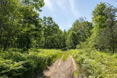 00 Vl Comstock Ave #PAR B, Bitely, MI 49309