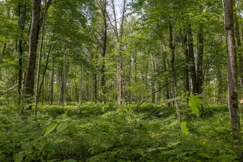 000 Vl 13 Mile Rd #PAR D, Bitely, MI 49309