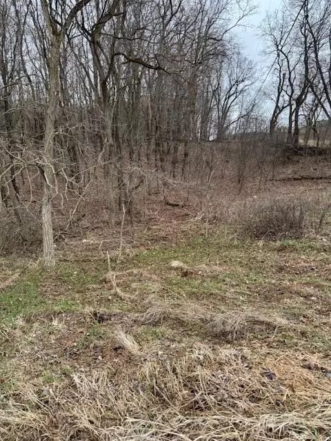 V/l W Peck Lake Road, Lowell, MI 49331