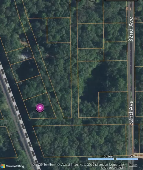 Merrill Township, Bitely, MI 49309