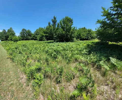 eagle ridge circle LOT 121, Onekama, MI 49675
