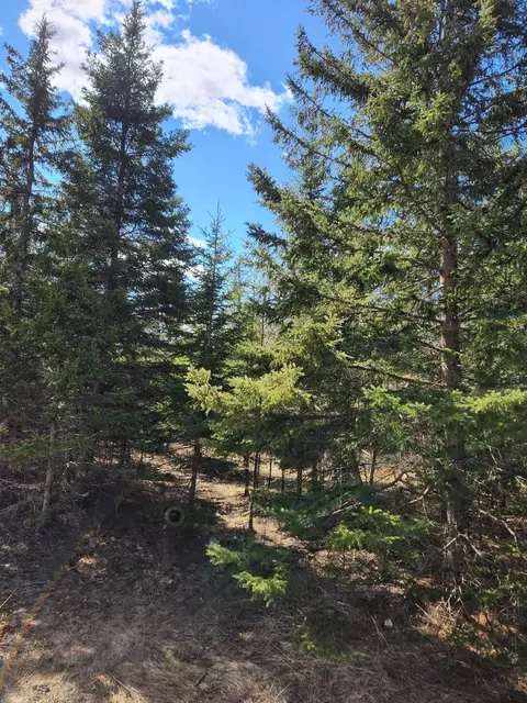 46 6 Acres - Vacant Land Us-131, Boyne Falls, MI 49713
