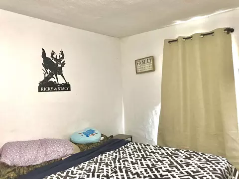 12040 Harder Rd, Three Rivers, MI 49093 photo 13