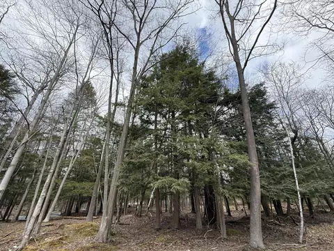V/l Range Street, Mears, MI 49436 photo 2