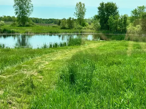 20 Th Ave, Gobles, MI 49055