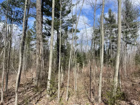 Adams Road, Gladwin, MI 48624 photo 10