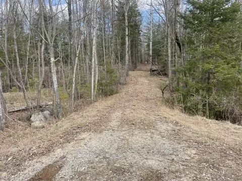 Adams Road, Gladwin, MI 48624 photo 3
