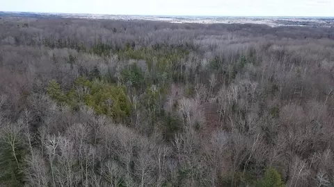 Adams Road, Gladwin, MI 48624 photo 5