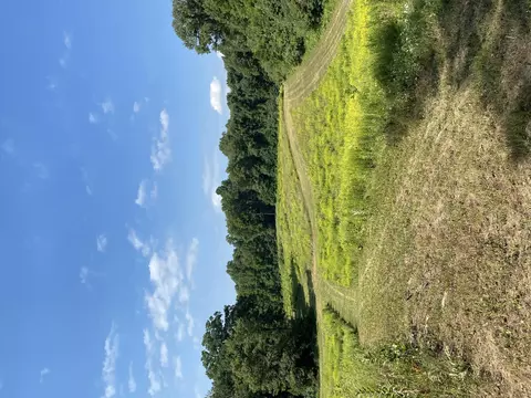V/l Rumsey Road, Three Rivers, MI 49093