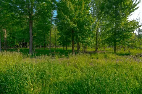 0 Wiley Rd, Douglas, MI 49406 photo 7