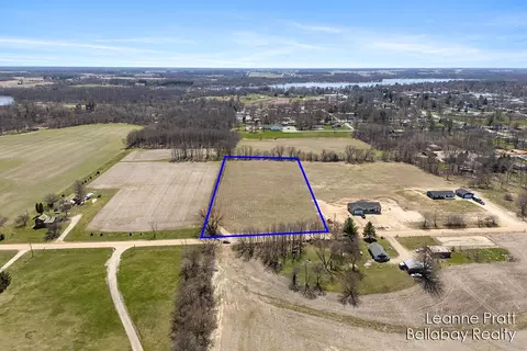 Vl Bonanza Road, Lake Odessa, MI 48849