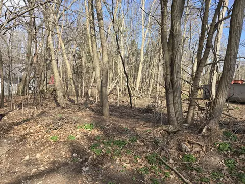 V/l Carleton, Whitehall, MI 49461