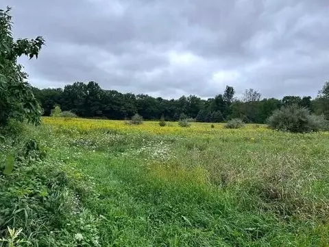 Weller Road, Gregory, MI 48137