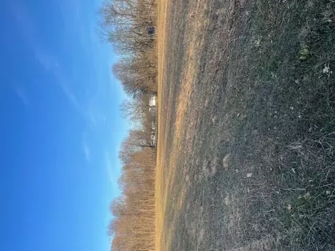 V/l Mt Zion Street, Cassopolis, MI 49031