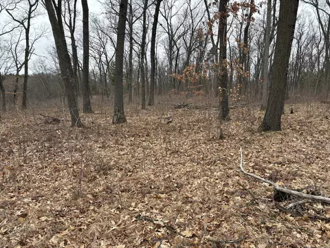 E Wilke Road, Fremont, MI 49412