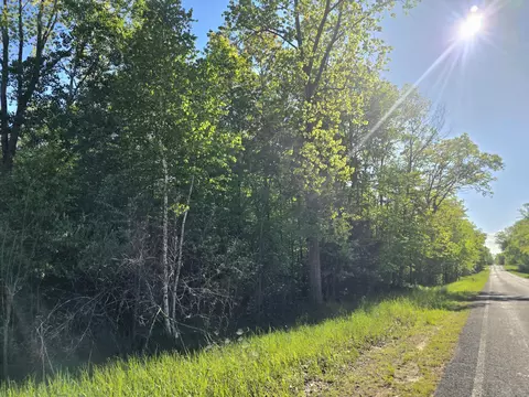 E Holland Lake Road, Sheridan, MI 48884
