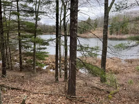 Vl Perch Lake Drive, Bitely, MI 49309