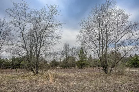 W Clay Road, Rothbury, MI 49452