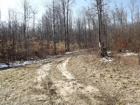 000 Valley St, Alden, MI 49612