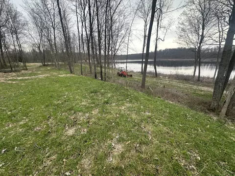 Vl S Norris Road, Delton, MI 49046