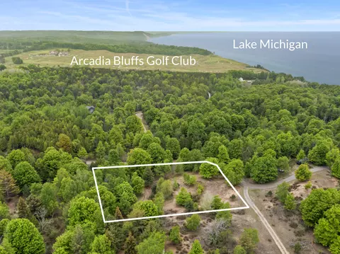 15380 Lake Bluff Dr, Arcadia, MI 49613