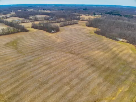 Carlson Road, Parma, MI 49269 photo 2