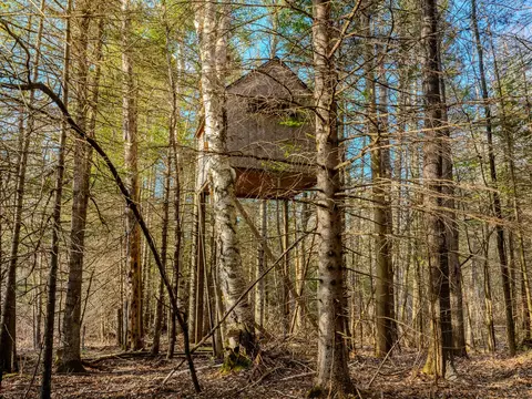 V/l Merwin Creek Road, Gulliver, MI 49840