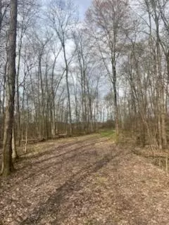 Summit Rd Road, Leonidas, MI 49066