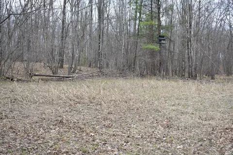 Exterior - 6590 Deer Path Dr, Chase, MI 49623 photo 12 of 14