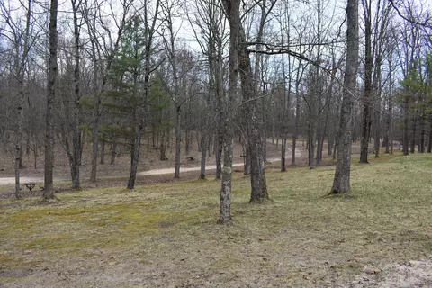 Exterior - 6590 Deer Path Dr, Chase, MI 49623 photo 10 of 14