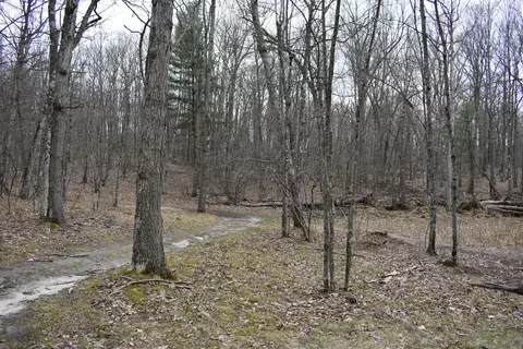 Exterior - 6590 Deer Path Dr, Chase, MI 49623 photo 11 of 14