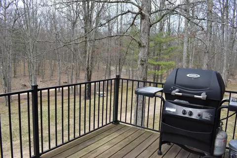 Exterior - 6590 Deer Path Dr, Chase, MI 49623 photo 9 of 14
