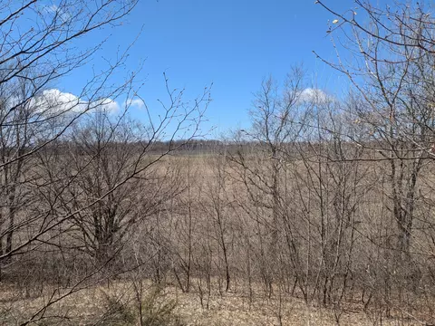 Butwell Part 2 Road, Bear Lake, MI 49614