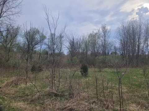 V/l 18th Street, Dorr, MI 49323 photo 3