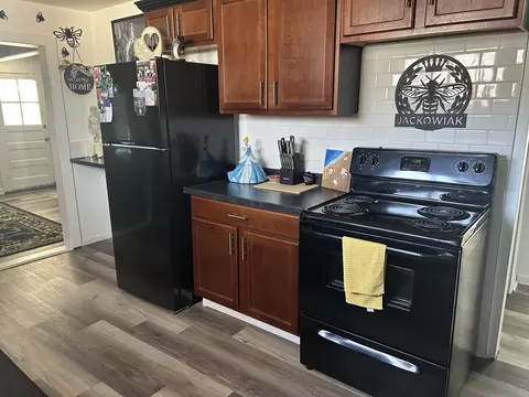 717 S Hooker Ave, Three Rivers, MI 49093 photo 4