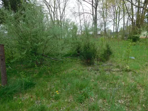 627 E St Joseph St, Paw Paw, MI 49079