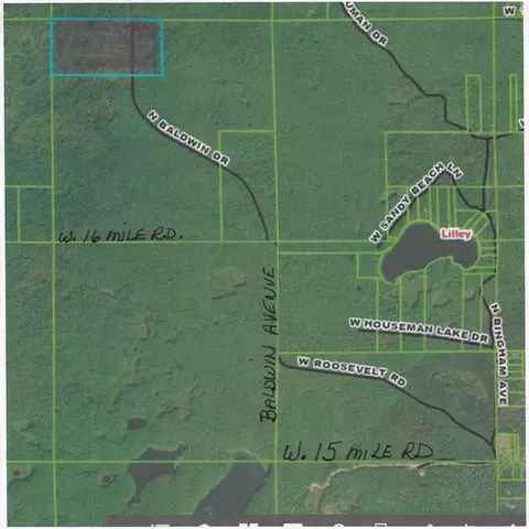 13460 Baldwin Dr, Bitely, MI 49309