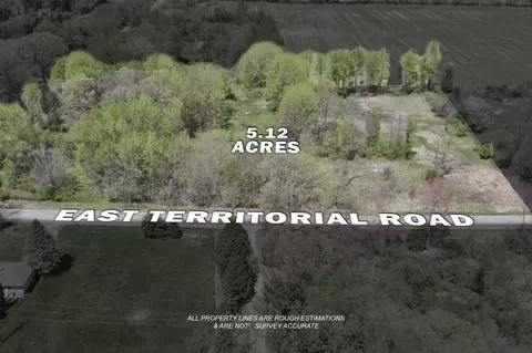 Vl D E Territorial Road, Rives Junction, MI 49277