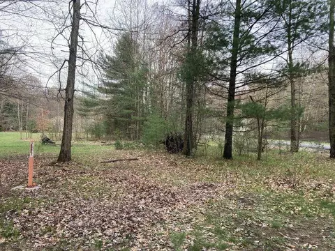 V/l 192nd Avenue, Big Rapids, MI 49307