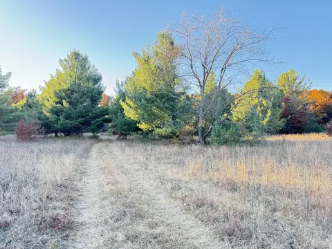 10 05ac Barberry Ave, Newaygo, MI 49337