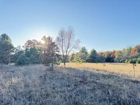 10 01ac Barberry Ave, Newaygo, MI 49337 photo 6