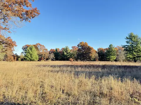 10 01ac Barberry Ave, Newaygo, MI 49337